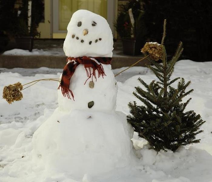 Small snowman next to a small pine tree